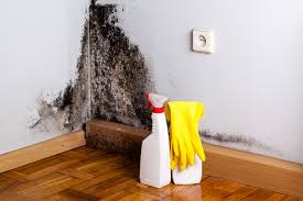 Best Commercial Mold Inspection  in USA